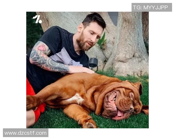 韩国足球界的宠物明星狗狗是谁引发了众多关注与喜爱